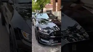 Candy Black Clean Mustang Shelby Gt500 | #shorts #edit #mustang #shelby