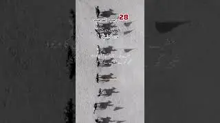 28 Rajab RAWANGI IMAM HUSSAIN as Whatsapp status #28rajab #28rajabstatus