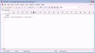 Beginner PHP Tutorial - 9 - print