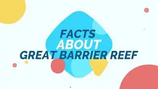 FACTS ABOUT THE GREAT BARRIER REEF🤷‍♀️🤷‍♀️|| WHICH IS SEEN FROM THE SPACE🌎😮😮