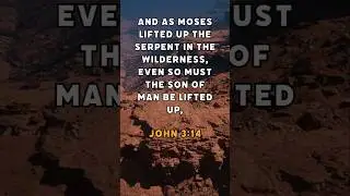 And as Moses lifted up the serpent in the wilderness, even so must the Son of Man be lifted up,