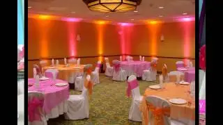 Romantic Pink theme party decorations