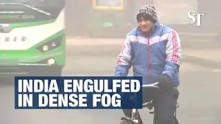 Flights, trains delayed as dense fog engulfs India