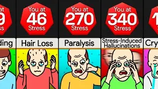 Comparison: You At Different Stress Levels