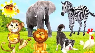 Learn to love animals, learn animal sounds dog, cat, horse, elephant, cow, monkey