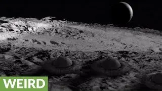 What Apollo 11 astronauts saw during moon landing is written on their faces