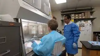 Rabies Testing with Dr. Wang