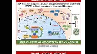 TRANSLATIONAL MEDICINE