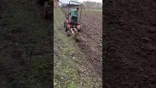 Мтз 132н Пашет неровный участок !