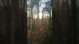 Visual ASMR: Sunrise 1