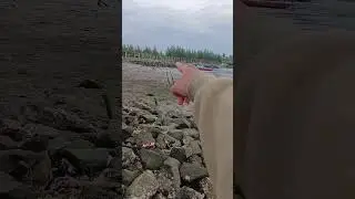 spot mancing gratis dekat dermaga tanjung kait 📍pantai sangrila