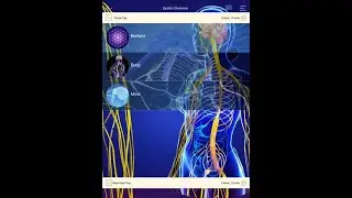 Spectral Analysis Explanation Experience