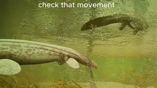 Path of titans Spino water PvP