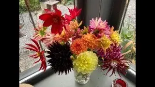 Octiber Hilltop Cloud Seasonal Chnages Fibre Dyeing livestream