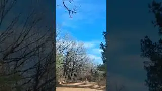 Turkey Pen Road, AR, USA 