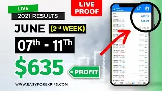 Live proof of  07 - 11th JUNE results | Easy Forex Pips