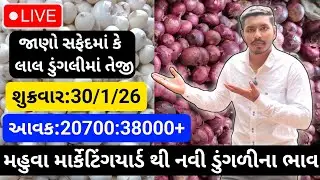 મહુવા થી લાલ અને સફેદડુંગળીના ભાવ🔥| 30/1/26 | White & Red Onion Market Rate Today💸| लाल ओर सफेद भाव🧅