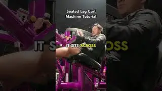 SEATED LEG CURL MACHINE 🦵🏼// Take a seat and work your hamstrings ! #legworkout #planetfitness
