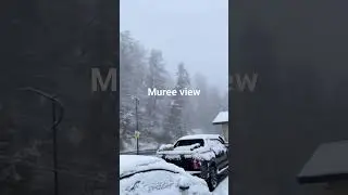MUREE BEAUTY FULL VIEW