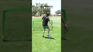 How Animals Would Score A Goal In Soccer/Football. Part 3