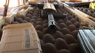 Gun Appreciation Day