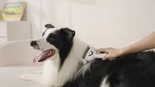 ✨5-in-1 Steam Grooming Brush for Dogs & Cats | Dematting, Deshedding & Spa Care✨