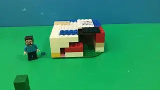 Minecraft In A Nutshell (LEGO)