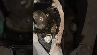 pleasure magnet oil seal change #automobile #pleasure #viral #viralshort