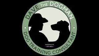 Owner/Dog Training Lesson - Multiple Dog Dynamics/Watch Dog Parameters/Leash Mechanics