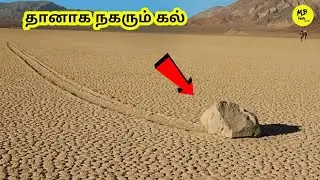 தானாக நகரும் கல் | Sailing Stone mystery solved | how rock moves | moving stone | Facts in Tamil