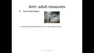 Mosquito Control Measures
