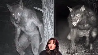Horrifying CRYPTIDS Will Make You Question REALITY *Very SCARY*
