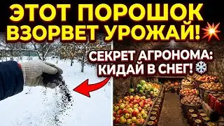 Кидай эту ГРЯЗЬ прямо в снег! Секретный метод, от которого погреб лопнет.