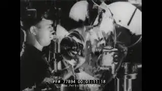 AMERICAN WAR DEAD & CASUALTIES WORLD WAR II
