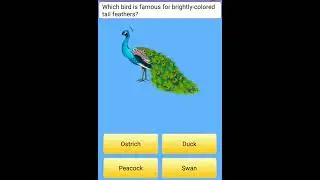 which bird is famous for brightly-colored tail feathers😑😑🤔🤔#shorts