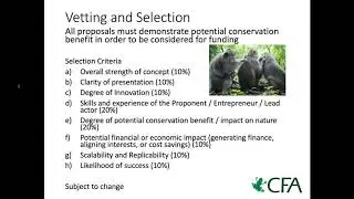 CFA Incubator Info Session #1