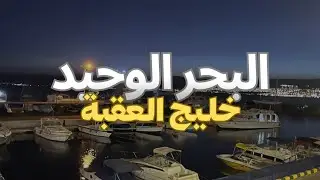 البحر الحي الوحيد بالاردن خليج العقبة ( البحر الاحمر)