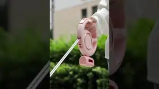 pet leash for wholesale.