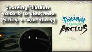 Pokemon Legends: Arceus - Evolving Hisuian Voltorb Into Hisuian Electrode (Shiny + Non-Shiny)