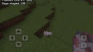 Zoomerango Ride in Minecraft