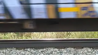 Trippy Train
