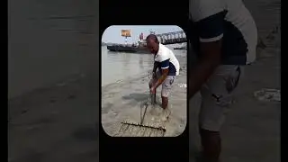 Magnet Business: He Makes Thousands Monthly Collecting Coins From Sacred Rivers ! #shorts