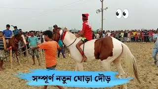 খুবই সুন্দর দেখার মত ঘোড়া দৌড় প্রতিযোগিতা