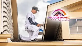 Panoramic Pro Painting // Banner