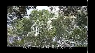 台糖造林