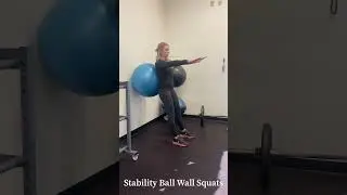 Stability Ball Wall Squats