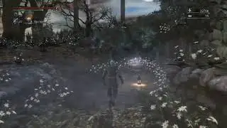 Bloodborne №9