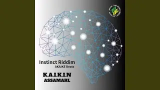 K.A.I.K.I.N