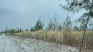 Traversing lahar trail to Lake Mapanuepe 2