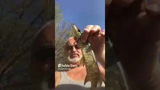 KILLER FISH 007 !!! TAGANKA 2023 !!! #fishing #skigear #bassfishing #insecticida #carp #carpfishing